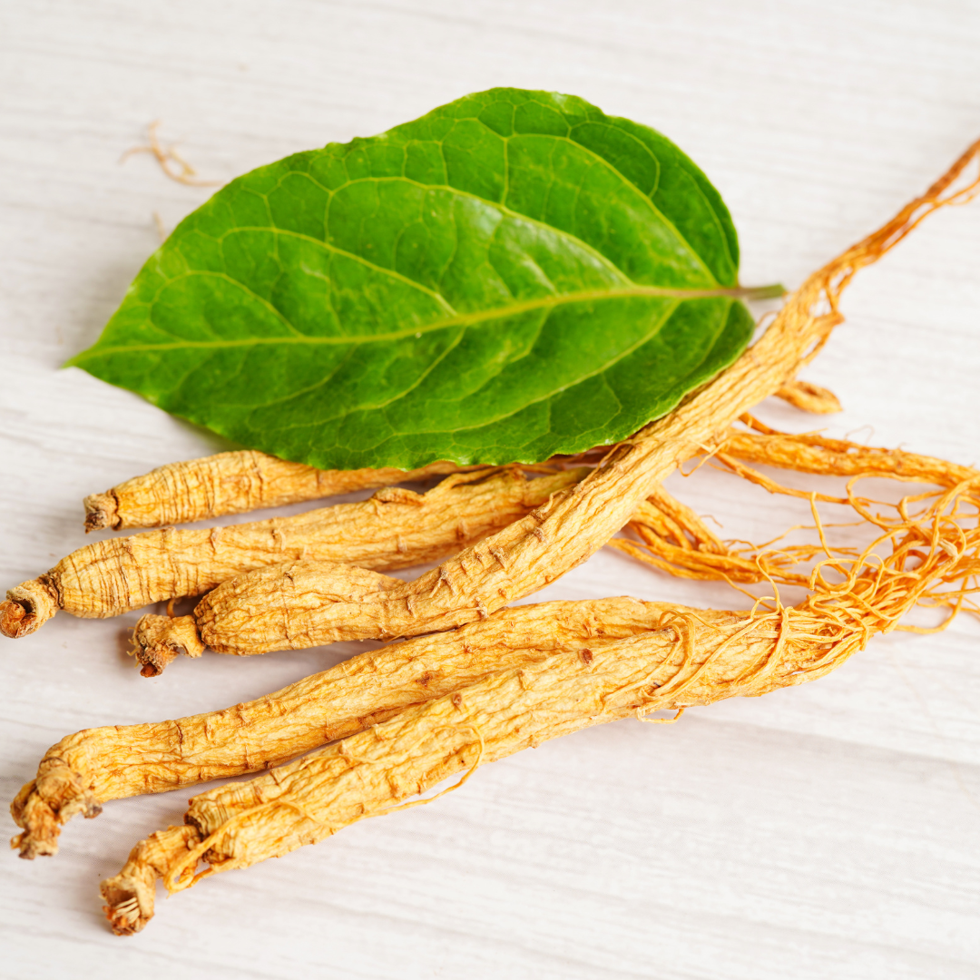 Ginseng