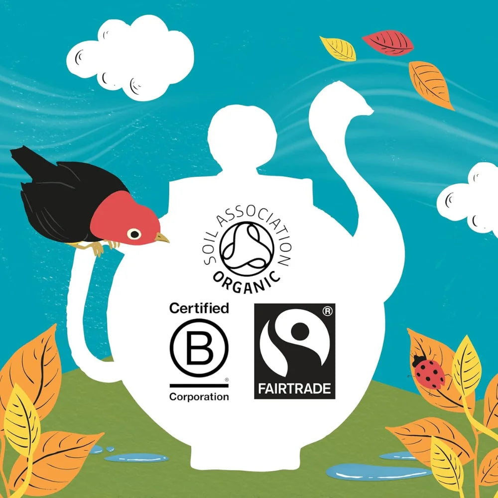 Clipper Fairtrade Organic Infusion Peppermint 250 Envelopes