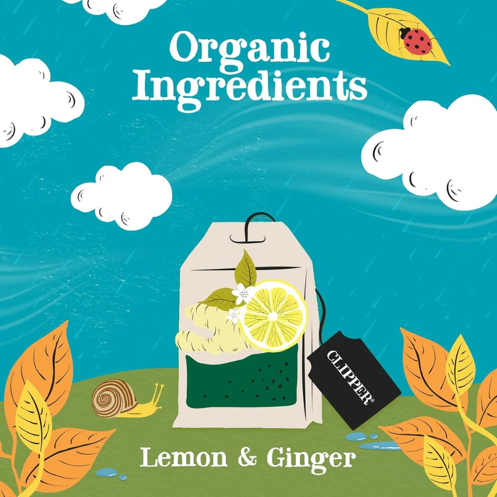 Clipper Organic Infusion Lemon & Ginger 250 Envelopes