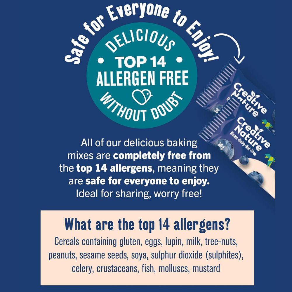 Creative Nature Blueberry Muffin Flapjack 20 x 30g