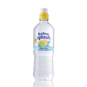 Radnor Splash Lemon & Lime Still Water 24 x 500ml
