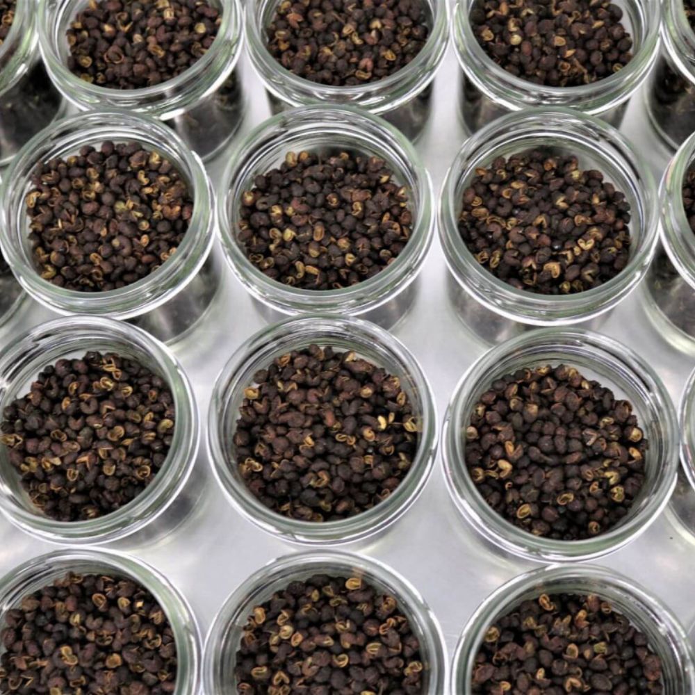 Steenbergs Sichuan Pepper 24g