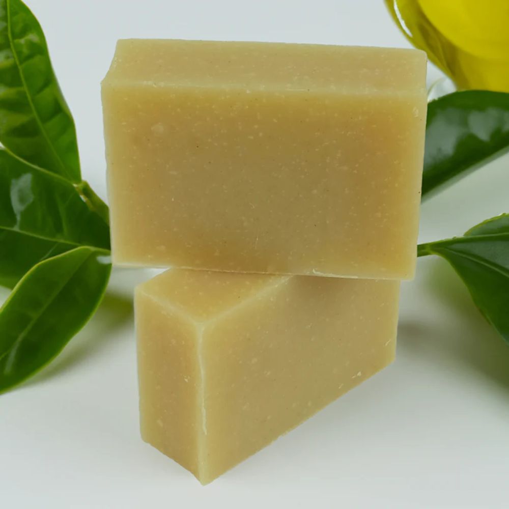 Friendly Soap Tea Tree & Turmeric Soap 6 x 95g