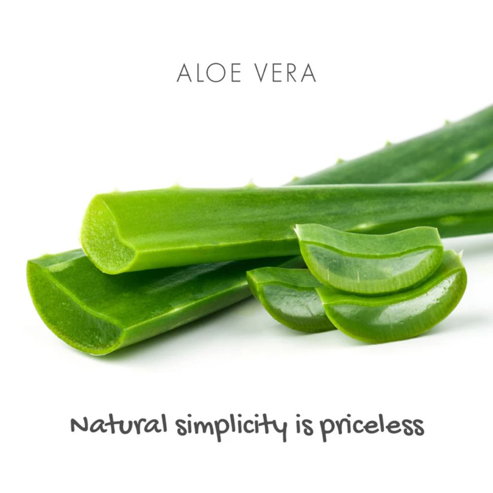Friendly Soap Fragrance Free Aloe Vera Soap 6 x 95g