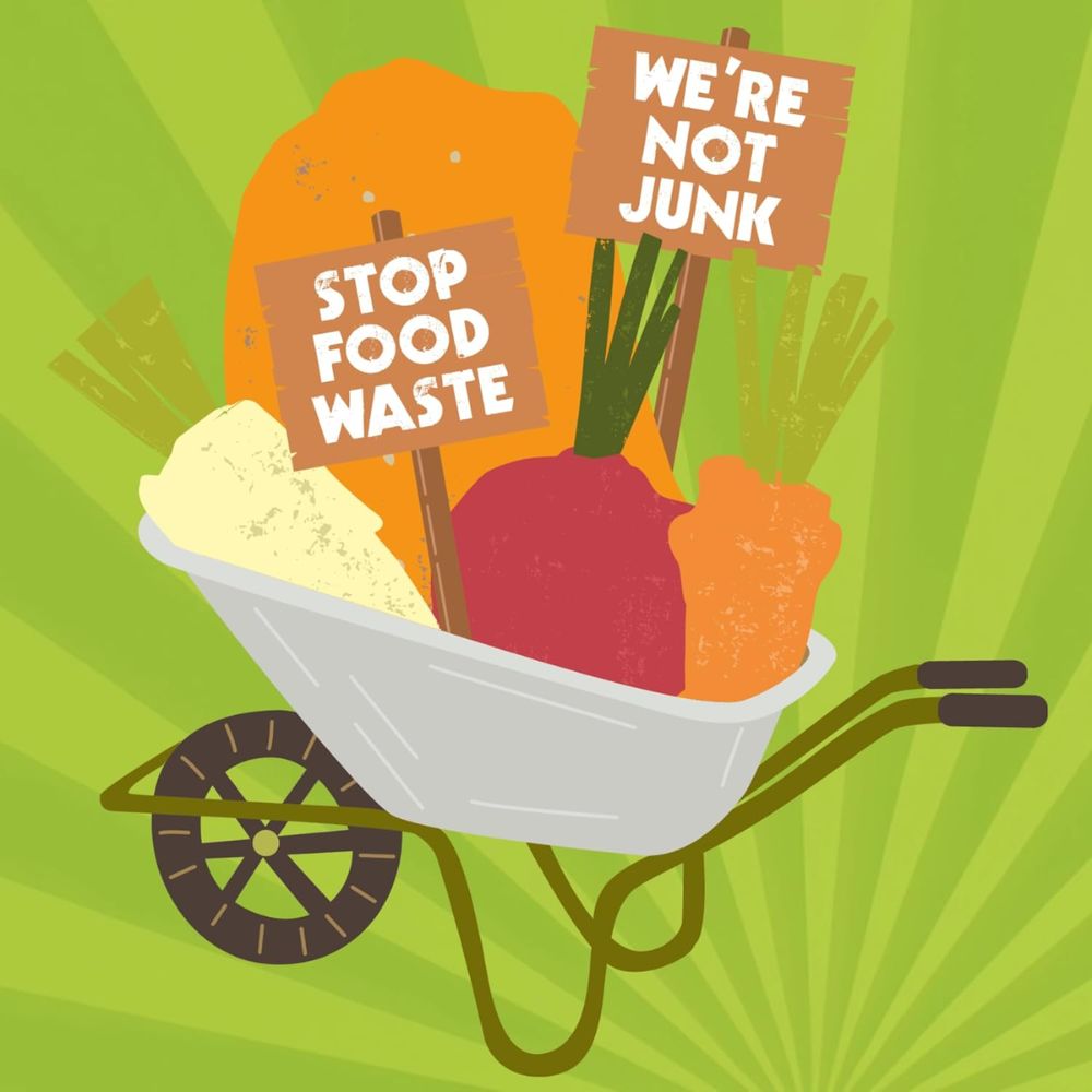Junk Crisps Organic Parsnip Sweet Potato Beetroot & Carrot Vegetable Crisps 12 x 100g