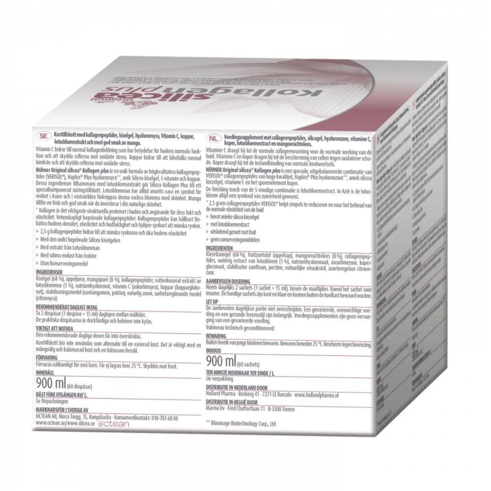 Anton Hubner Silicea Kollagen Plus 60 Sachets