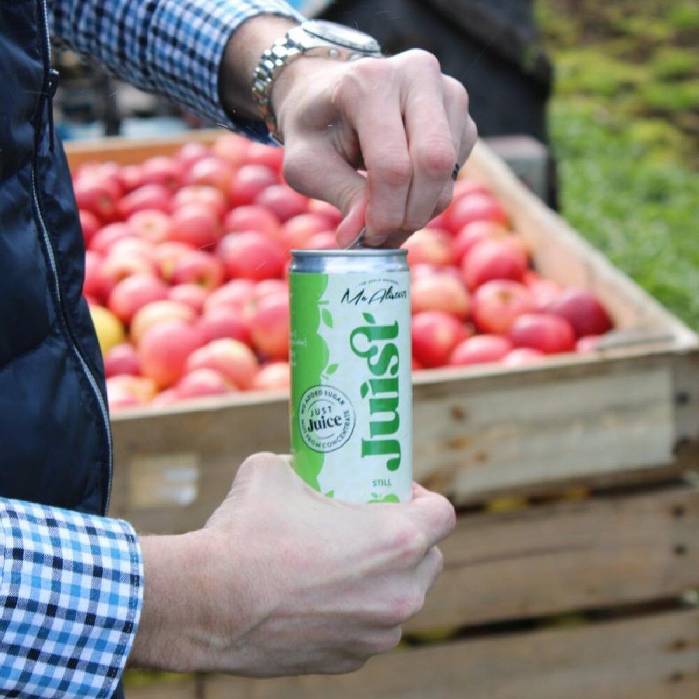 Juist Pure Still Apple Juice Can 12 x 250ml