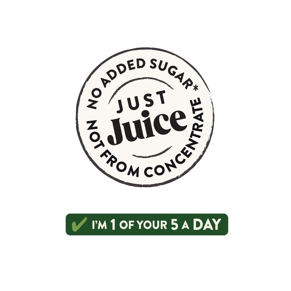 Juist Pure Still Apple Juice Can 12 x 250ml