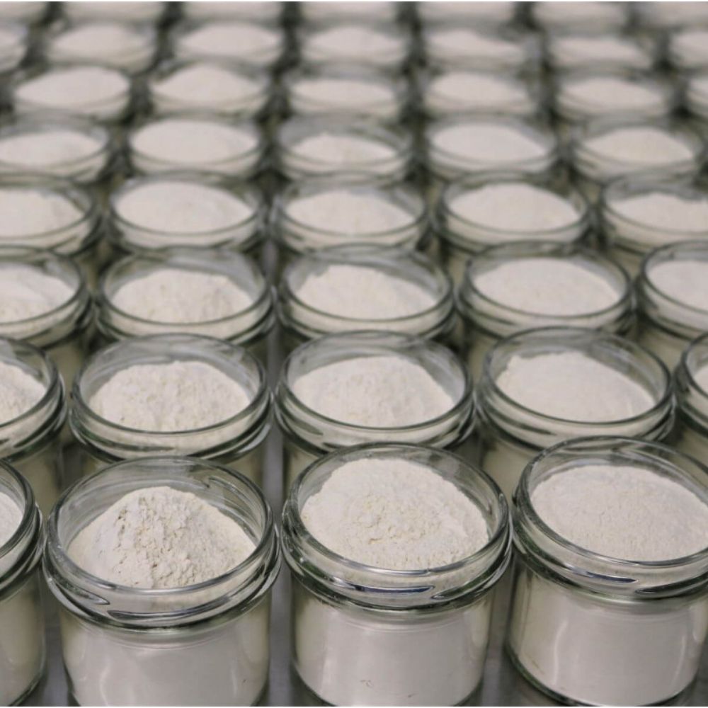 Steenbergs Organic Onion Powder 50g